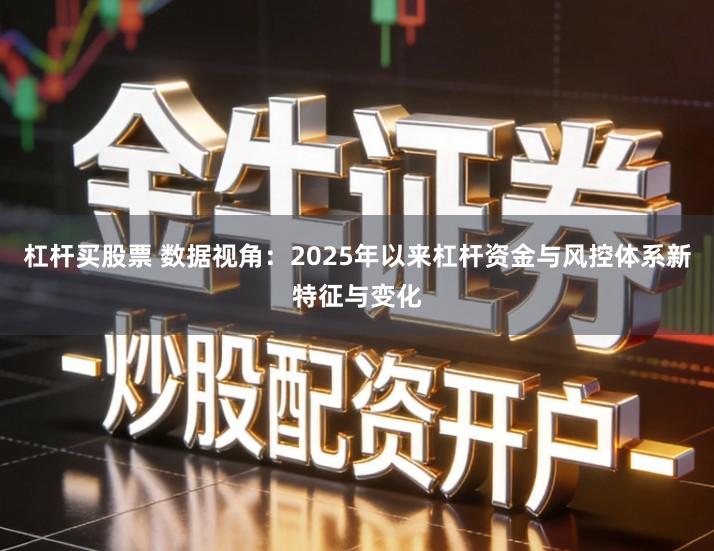 杠杆买股票 数据视角：2025年以来杠杆资金与风控体系新特征与变化