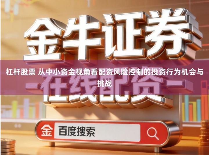 杠杆股票 从中小资金视角看配资风险控制的投资行为机会与挑战